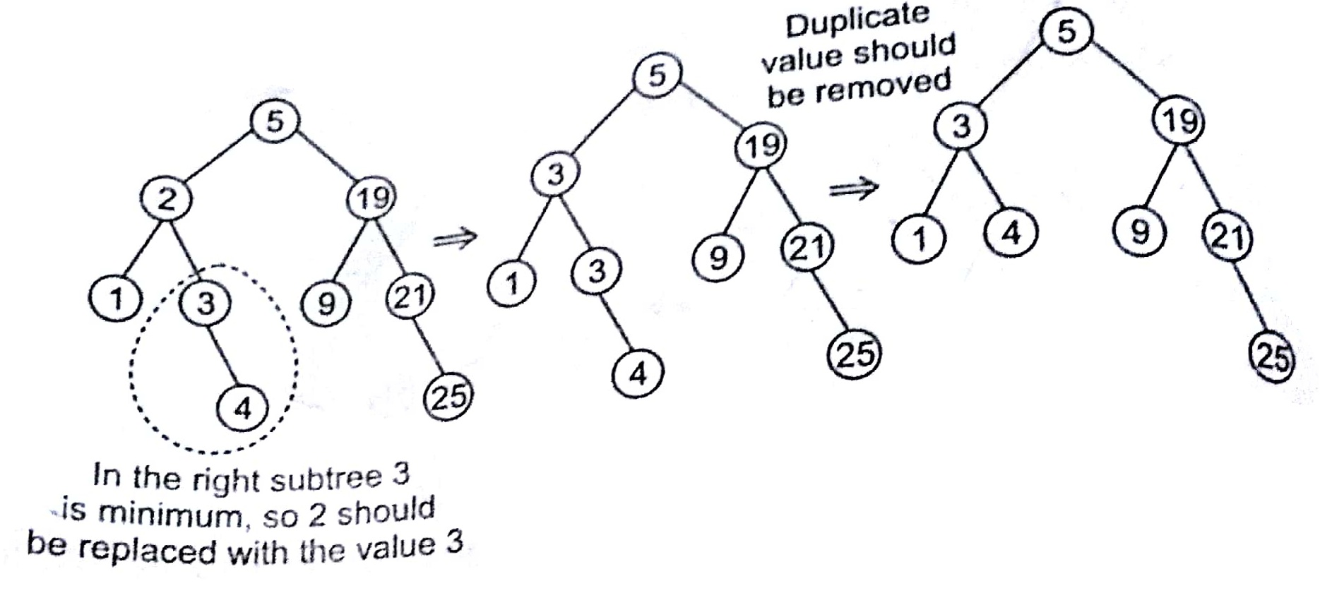 Tree in Design and Analysis of Algorithm Study Notes with Examples