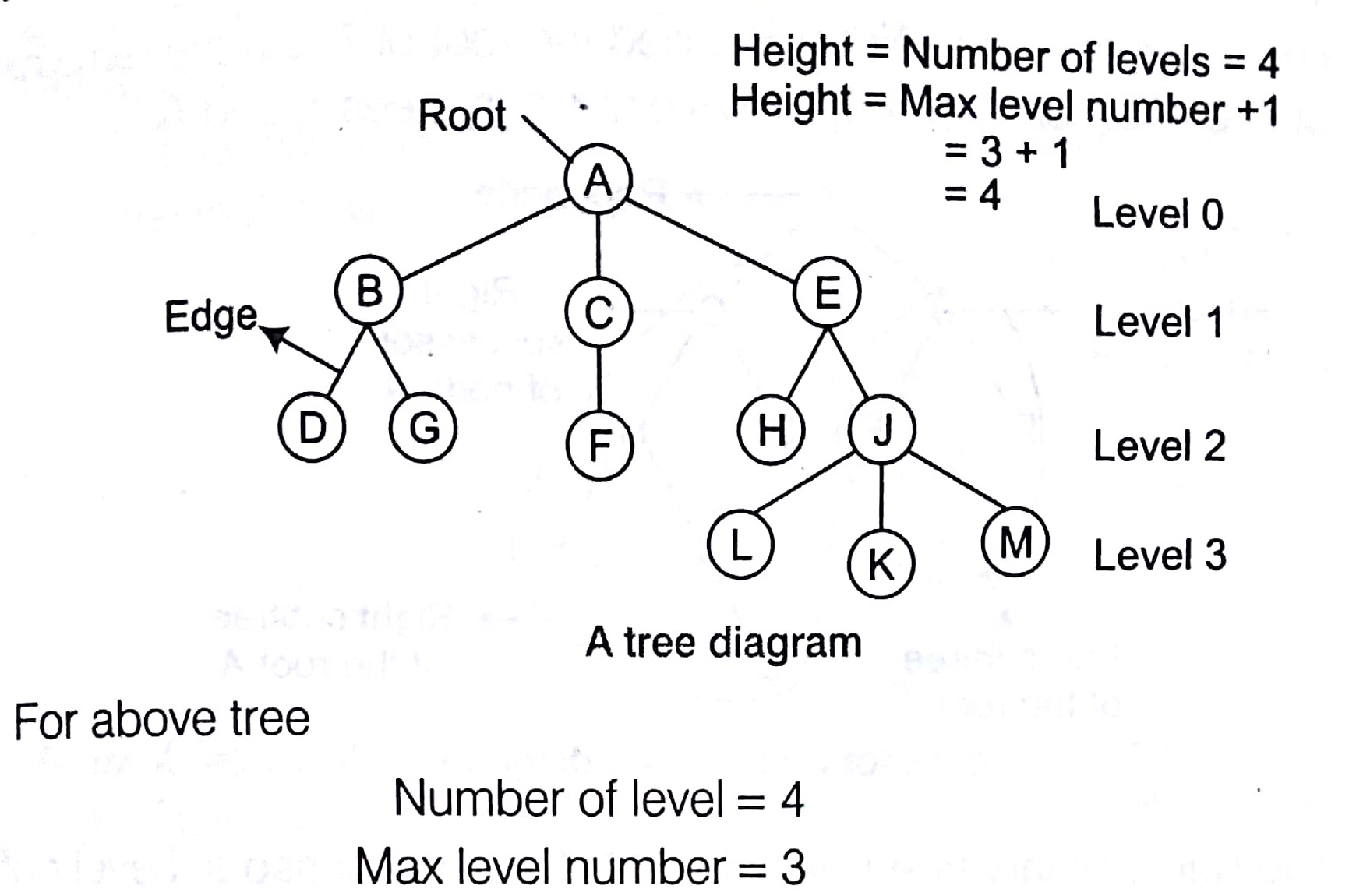 Tree in C Language Tutorial Notes Study Material with Examples