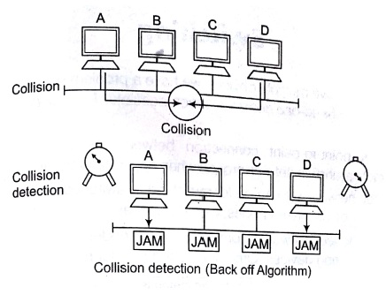 Medium Access Control Sublayer Tutorial in Computer Network with Examples