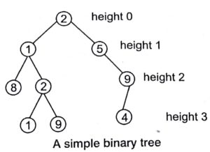 Tree in Design and Analysis of Algorithm Study Notes with Examples