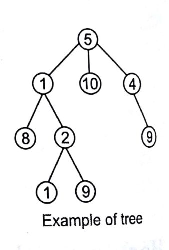 Tree in Design and Analysis of Algorithm Study Notes with Examples